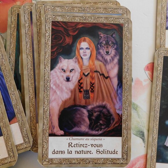 🔮 Oracle Deck in FRENCH 🔮 - Picture 3 of 9